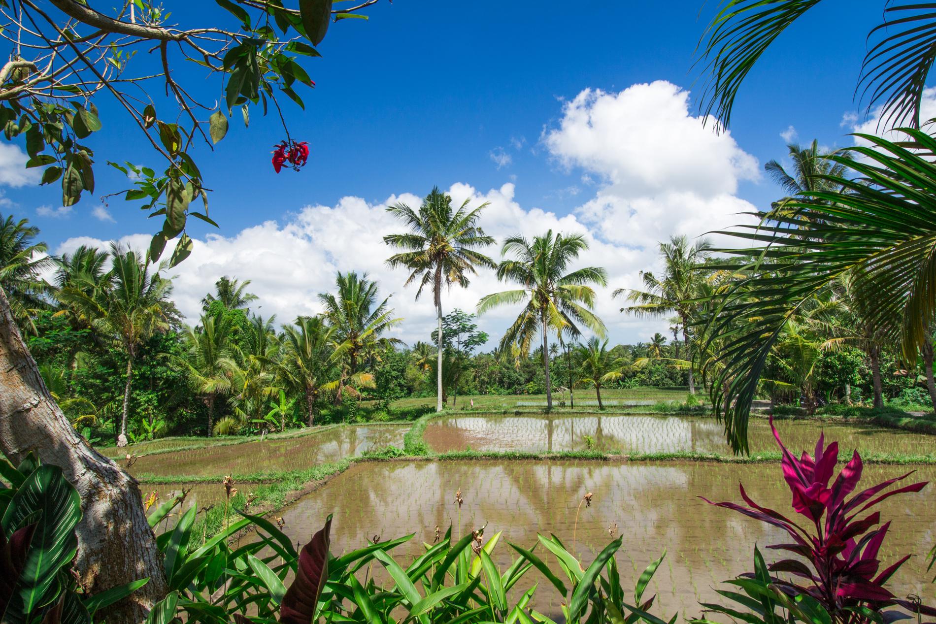 Bali Indonesië