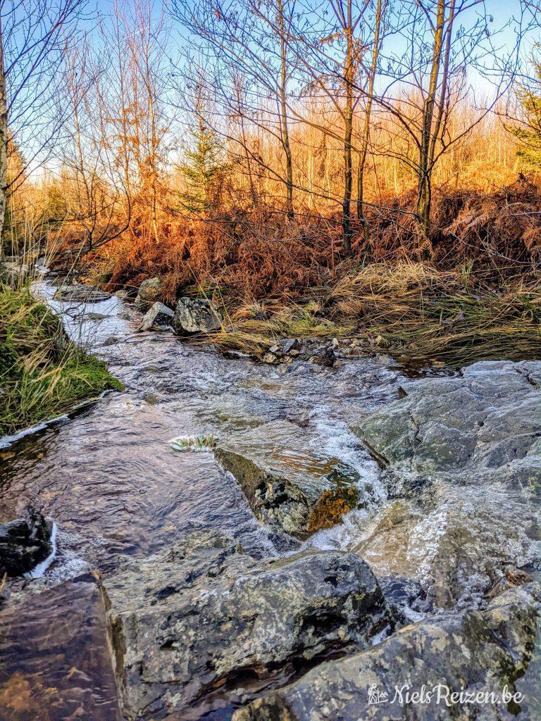 Vallei van de Statte in Solwaster in de Ardennen