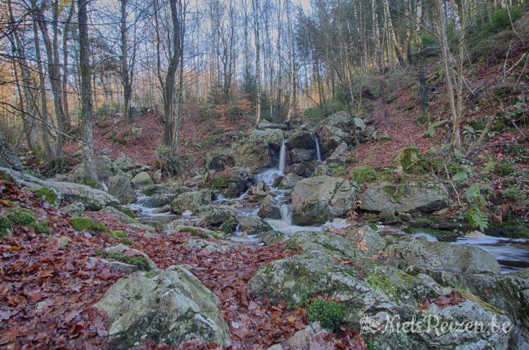 Vallei van de Statte in Solwaster in de Ardennen