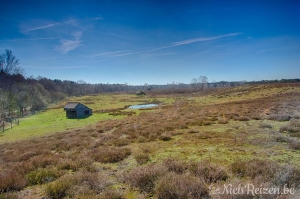 Oud stort Mol
