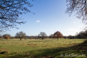 National Trust Hatfield Forest Londen