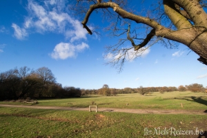 National Trust Hatfield Forest Londen